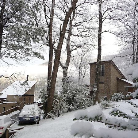 فيلا ألتوس ديل ألما كابانياس San Martín de los Andes المظهر الخارجي الصورة
