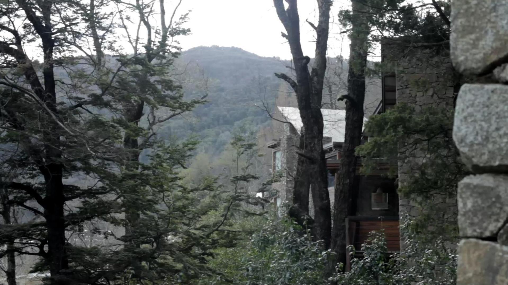 فيلا ألتوس ديل ألما كابانياس San Martín de los Andes المظهر الخارجي الصورة