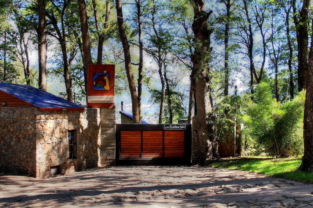 فيلا ألتوس ديل ألما كابانياس San Martín de los Andes المظهر الخارجي الصورة